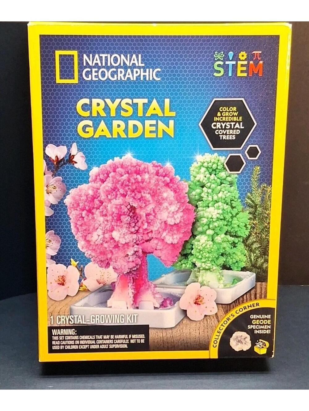 Craft Kit for Kids - Crystal Growing Kit - Grow a Crystal Garden